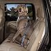 Dog Harness - Blue Paws Car Harness - X Large