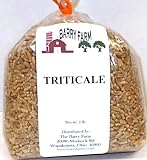 Triticale Grain, 1 lb.