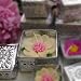 HANDMADE PEONY SCENTED TIN CANDLE/LARGE/CREAM