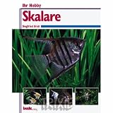Eigenschaften Trixie  / 01734 Skalare / S. Brall