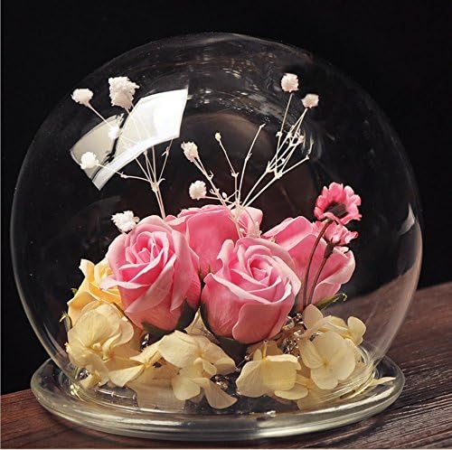 Eric Transparent Glass Cloche Landscape Vase Spherical Glass Domes, 5.5"H X 5.9"Dia.(Flower NOT INCLUDE)