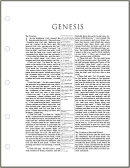 Loose-Leaf Bible-NASB-Wide Margin Pages Only: Hendrickson Bibles ...