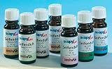 Eigenschaften Hobbyfun / Seifenduft 10 ml, Maiglöckchen
