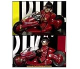 Japan Import AKIRA & BIKE Kubrick Box set