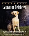 The Essential Labrador Retriever (Essential Guide)