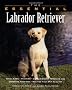 The Essential Labrador Retriever (Essential Guide)