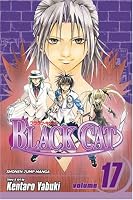 Black Cat, Volume 17 (Black Cat (Graphic Novels))