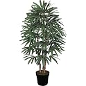 Raphis Faux Palm Tree- Green(60")