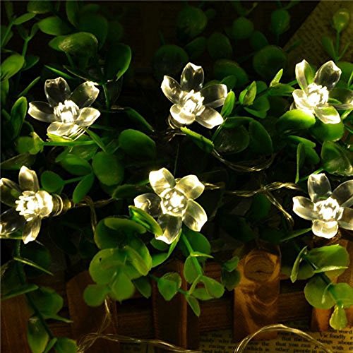 Wedna 40 LEDs Battery Powered Peach Blossom Fairy String Lights Decorative for Room Home Garden Wedding Christmas Party Festival (Warm White)