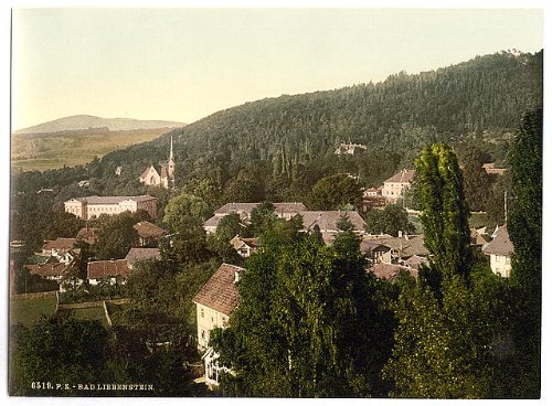 Buy Bath of Bad Liebenstein,Thuringia,Germany,1890s