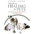 Hands-On Healing for Pets: The Animal Lover's Essential Guide to Using Healing Energy