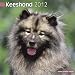 Keeshond 2012 Wall Calendar #10049-12 by Pet Prints, Inc