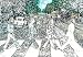 ビートルズ THE BEATLES abbey road (landscape)　3D レンチキュラー ポスター【111202】