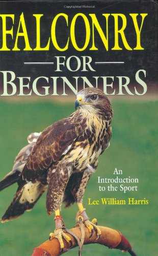 falconry for beginners
