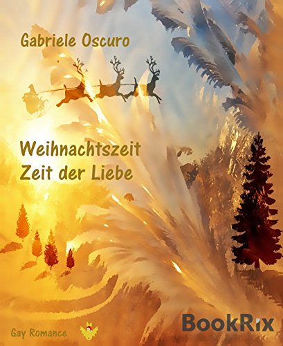 Weihnachtszeit - Zeit der Liebe: Gay Romance (German Edition)