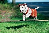 Wishbone