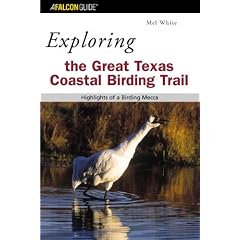 Exploring the Great Texas Coastal Birding Trail: Highlights of a Birding Mecca