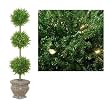5' Pre-Lit Green Tinsel Triple Ball Potted Topiary Tree - Green Lights