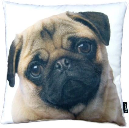 Stella Pug 18"x18" Indoor/Outdoor Pillow
