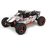 Desert Buggy XL: 1/5th 4WD RTR