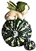 Top Collection Miniature Fairy Garden and Terrarium Fairy Baby on Green Gourd Statue