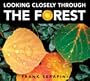 Looking Closely through the Forest