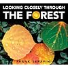 Looking Closely through the Forest