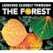 Looking Closely through the Forest