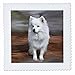3dRose qs_4178_1 American Eskimo Toy Dog Quilt Square, 10 by 10-Inch