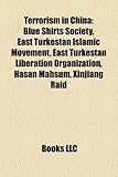 Terrorism in China: Blue Shirts Society-