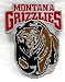 University of Montana NCAA Collegiate Buckle