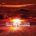I Love The Sunshine (Beltek Club Mix)