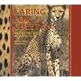 Caring for Cheetahs