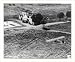 Historic Print (L): A cub plane hedgehopping on a routine flight - 5th Army II Corps Air O.P. Italy