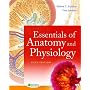 Essentials of Anatomy And Physiology