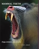 Mammal teeth : origin, evolution, and diversity