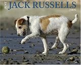 Just Jack Russells 2008 Calendar (Just)