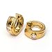 0.25 Carat 14KYG Diamond Hoop Earrings