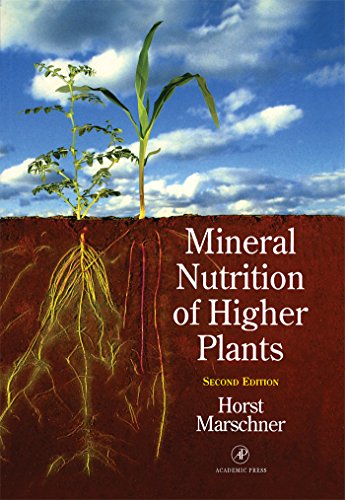 Mineral Nutrition of Higher Plants (Special Publications of the Society for General Microbiology)