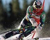 ALBERTO TOMBA ITALY OLYMPIC CHAMPION 8X10 SPORTS ACTION PHOTO (D)