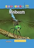 Minibeasts