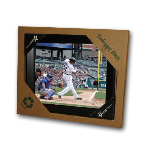 MLB Detroit Tigers Miguel Cabrera 13x11 Treehugger Framed 3-D Photo