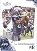 T.J. Houshmandzadeh - Seattle Seahawks - 2010 Score Football Card - NFL Trading Card in Screwdown Case