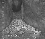「聖地巡礼」世界遺産 紀伊山地の霊場と参詣道 音霊奉納の旅