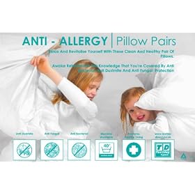 Textiles Direct Anti-Allergy Pillow Pair - Made Exclusively For Textiles Direct