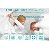 Textiles Direct Anti-Allergy Pillow Pair - Made Exclusively For Textiles Direct