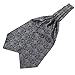 Stylefad Men's Mirofiber Cravat Ascot Self Tie
