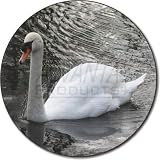Beautiful Swan Fridge Magnet Stocking Filler, Ref:AB-S2FM