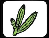 Mauspad mit Dekoration - spiny, Pflanze, United States, Cactus, stachelig, Wasser, südwestlichen Wüste, Sukkulenten, leafless, dornig