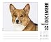 Just Corgis 2017 Box Calendar (Dog Breed Calendars)